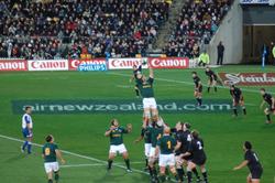 Como apostar en rugby